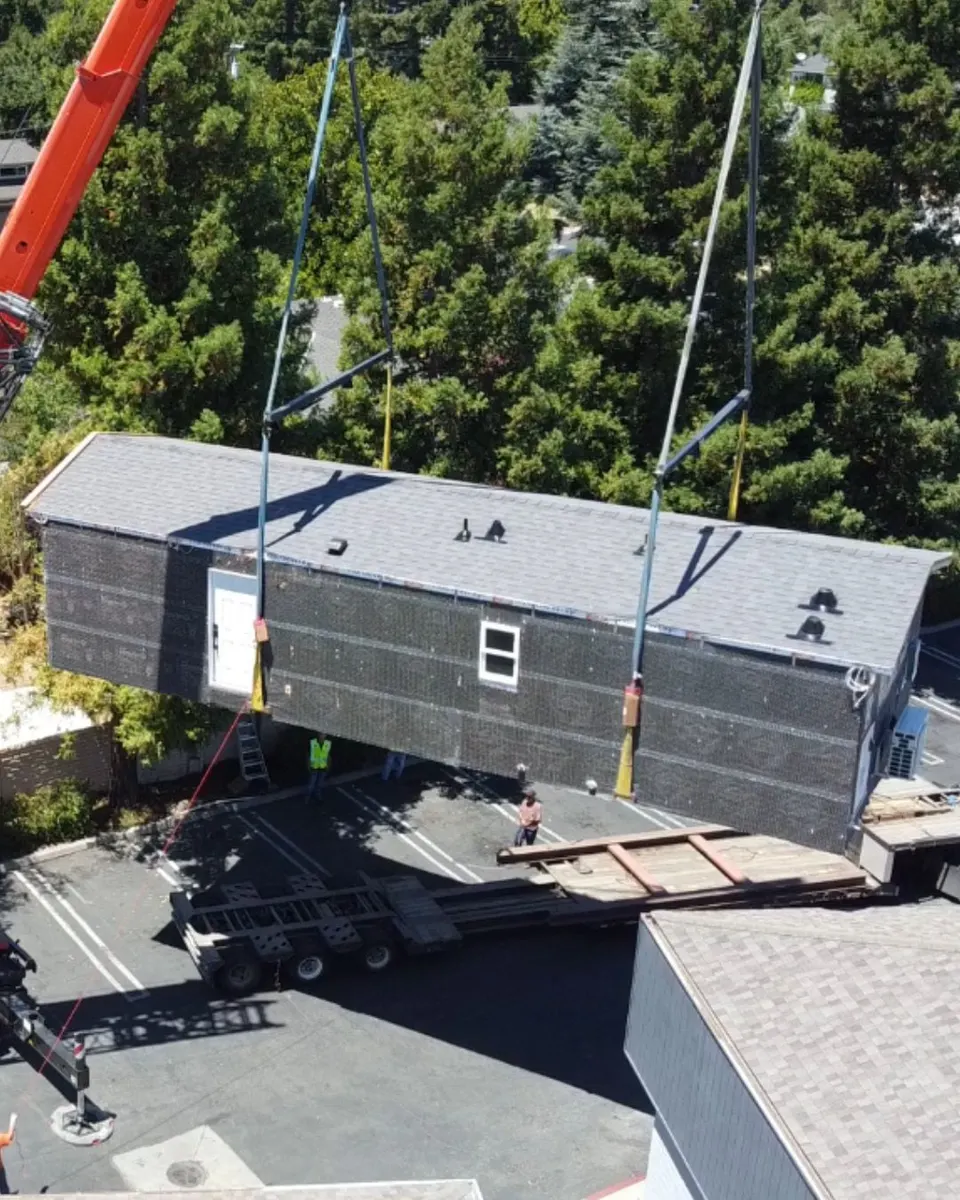 Delivery Day photo 2