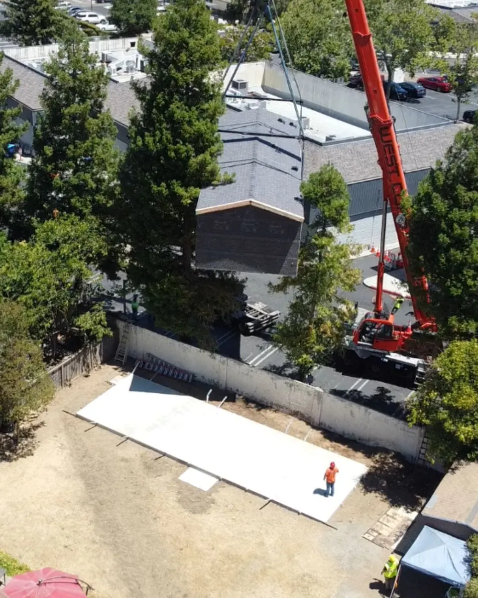 Delivery Day photo 3