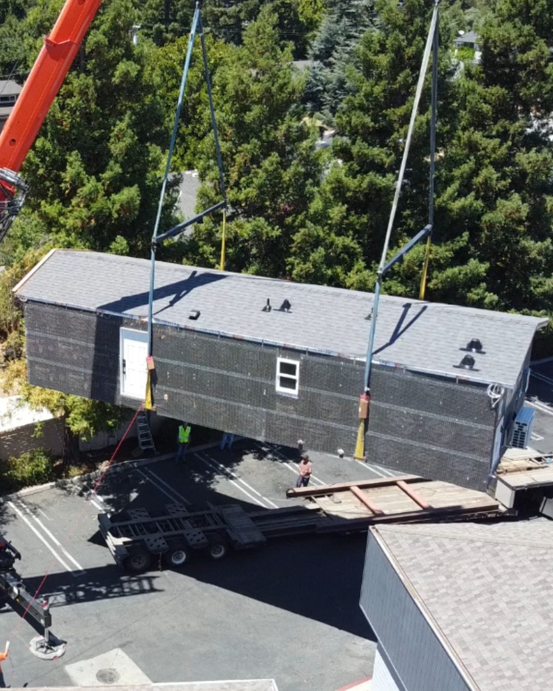 Delivery Day photo 2